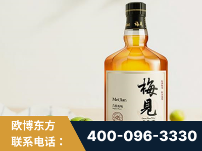 三河-梅见青梅酒